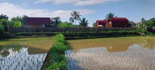 Raturinjani homestay - Selong - 1