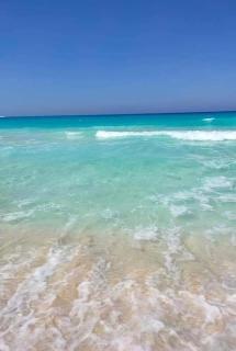 تاهيتي الجراولة - Marsa Matruh - 9