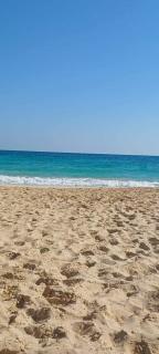 تاهيتي الجراولة - Marsa Matruh - 5
