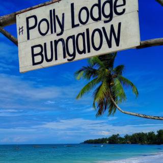 Polly Lodge Bungalow Zanzibar Kiwengwa - Kiwengwa - 0