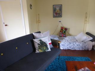 Fig Tree Cottage - Greytown - 9