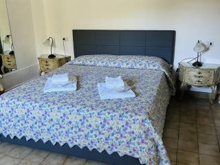 Typical Tuscan apartment with garden and pool - Montaione - 8