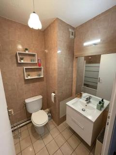 Appartement Cern Geneve Terrasse Station de ski - 2