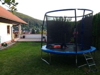 Mayntz´Albjuwel Comfortable holiday residence - Meßstetten - 3