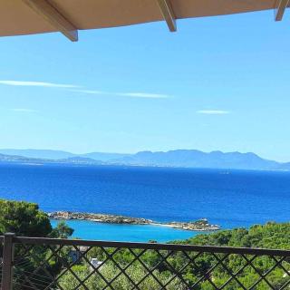 Soul Sea Side View - 0