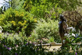 Lavender Hill Country Estate and Wedding Venue - 8