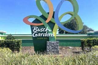 Main Attraction is a Renovated 3 BR Pet Friendly Home with Fenced Yard just Minutes Away From Busch Gardens & USF - Tampa - 6