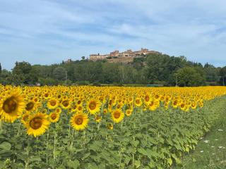 Il Vecchio Forno - Certaldo - 6