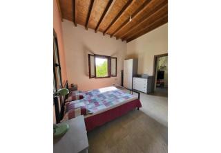 Villa Two Pine Trees - Alinda - 4