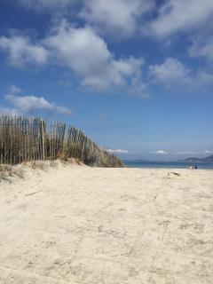 Appartement Les Cigales Rez de Jardin à 10mn des plus belles plages - Hyères - 1