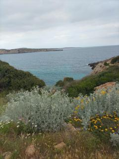 Castell Arenal Breeze - Arenal d'en Castell - 2