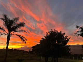 Eagles Nest - Sedgefield - 6
