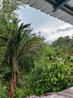 Bisidos Homestay - Kampong Teng - 8