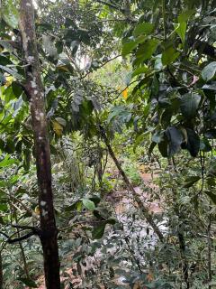 Bisidos Homestay - Kampong Teng - 3