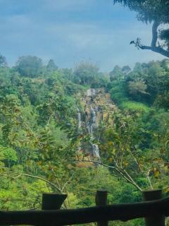 Ella Jungle Cottage - 0