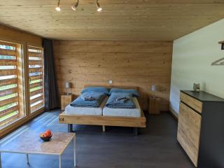 BnB Fellacher - Adelboden - 9