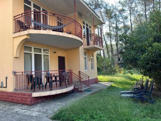 House in Shekvetili - Shekhvetili - 3