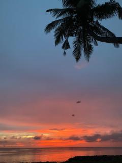 Flexi Lodge - Negombo - 5