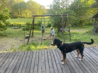 Dom w lesie nad jeziorem Kaszuby - Gniazdo - 6