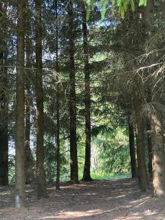 Myllärin Aitta - Miehikkälä - 6