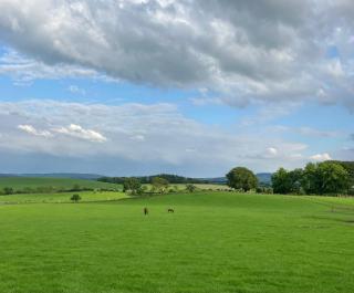 Wee Shepherds Hut Maybole - Maybole - 2