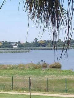 Blue Oasis 2 Sleeper Studio- Garden suite - Benoni - 5
