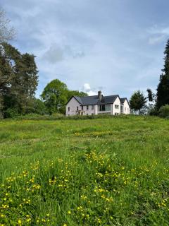 The Pink House - 6