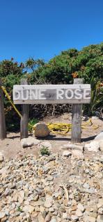 Dune Rose Yzerfontein Villa - Yzerfontein - 9
