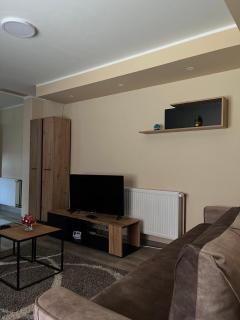 Apartman Rajsic a&a - Laćarak - 9