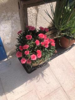 Nòstos - Canosa di Puglia - 8