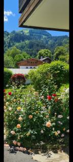 Haus Beatrice - 3