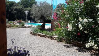 L'Abrialys - Lorgues - 7