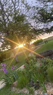 Simples Escales : gîte nature, détente et sauna - 2