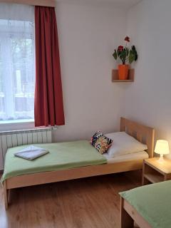 Hotel Garni Rambousek - Prag - 8