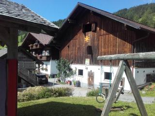 Neudegghof - Eben im Pongau - 5