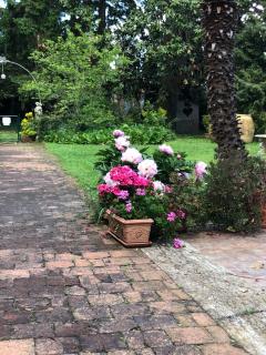 Villa Agostina - - 9