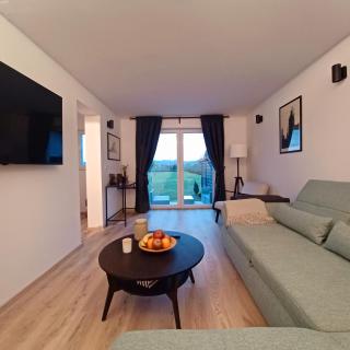 Rudolf house - Varaždin - 6