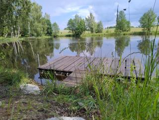 Domek Letniskowy ZŁOTY KARAŚ - 9