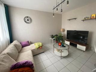 Cosy T2 proche de l hyper centre de Grenoble - Grenoble - 5