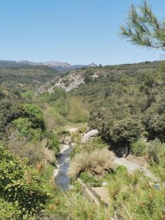 Grand appartement en Minervois - Villeneuve-Minervois - 0