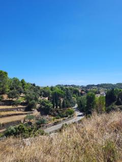 Grand appartement en Minervois - Villeneuve-Minervois - 7