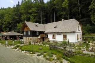 Mlýn Kozlovice - Kozlovice - 9