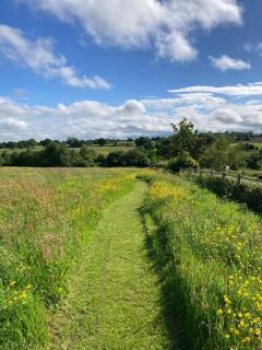 The Gin Palace with cozy logburner - Wrexham - 6
