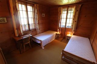 Arnica 1 - Chateau-d'Oex - 6