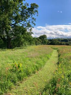 Little Pentre Barn with cozy logburner - Wrexham - 7