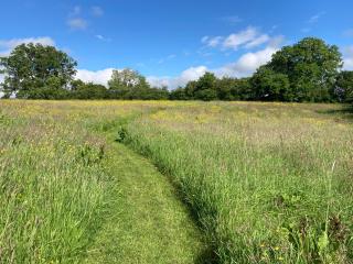 The Stable with cozy logburner - 7