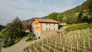 TANOVINUM Apartments - Villandro - 8