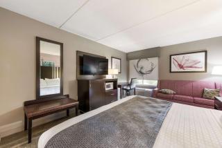 Clarion Pointe Greensboro Airport - Greensboro - 4