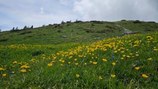 Haus Hasslacher - Flattach - 6