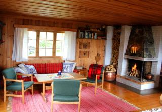 Jonstølen by Norgesbooking - cabin at 1020 masl - - 7
